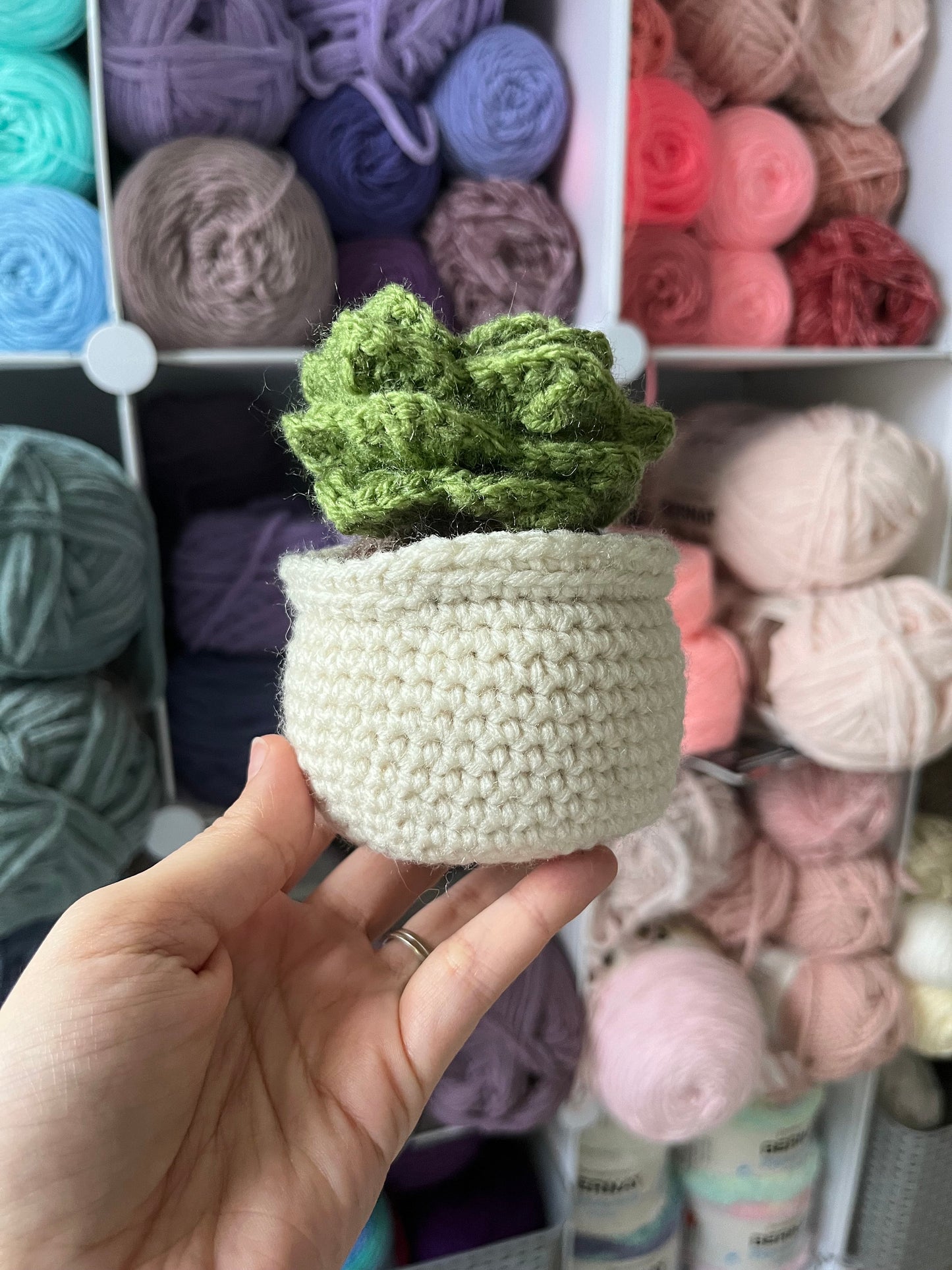 4.5” Crochet Succulent Plant in Ecru Pot, Ecru Potted Succulent Plant Plushie, Succulent Desktop Plant, Plant Lover Gift