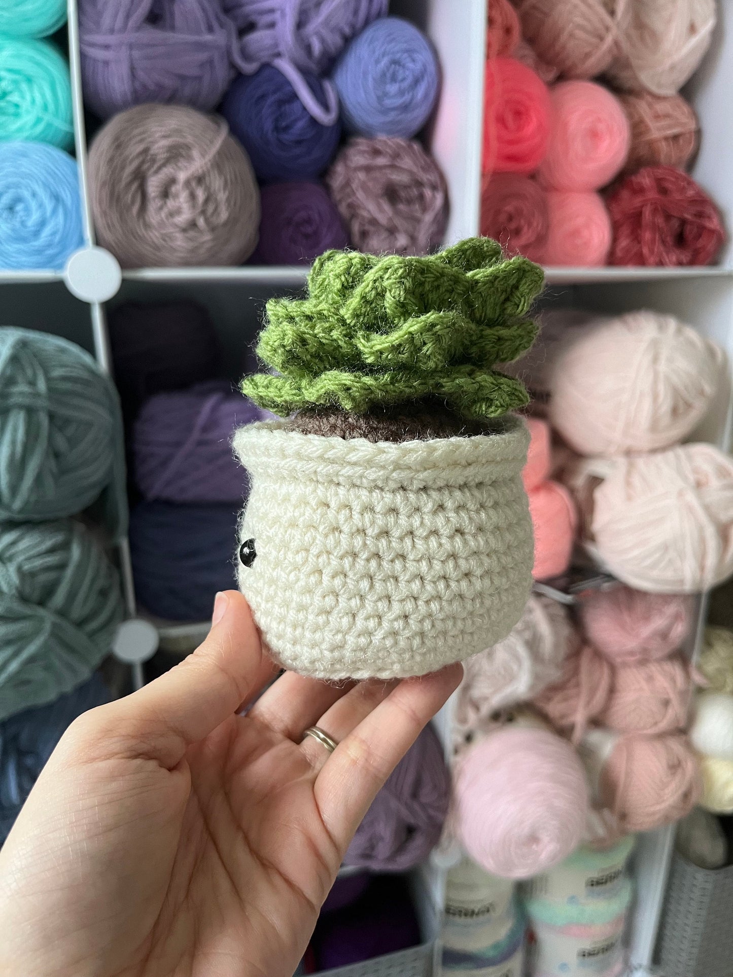 4.5” Crochet Succulent Plant in Ecru Pot, Ecru Potted Succulent Plant Plushie, Succulent Desktop Plant, Plant Lover Gift