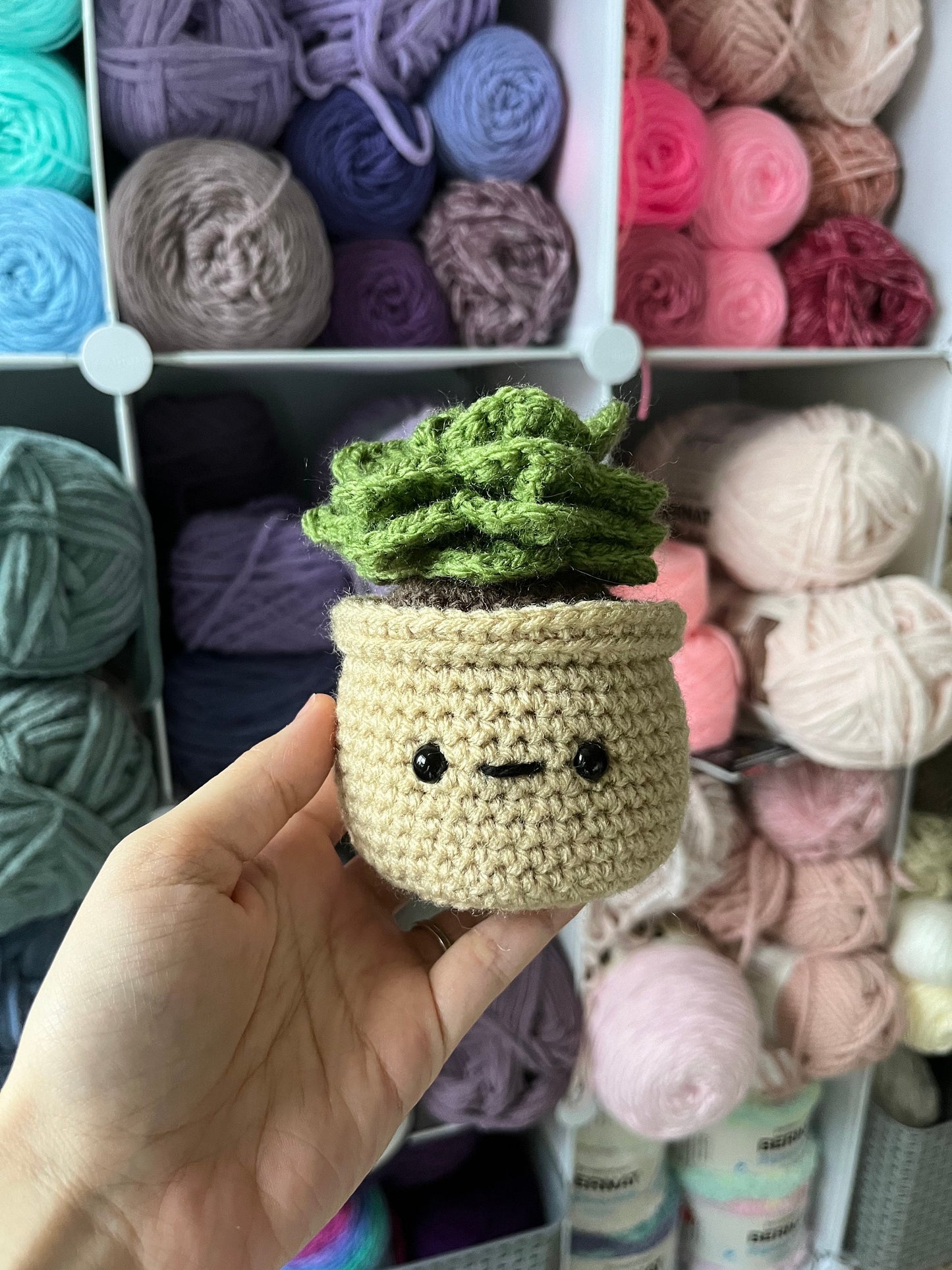 4.5” Crochet Succulent Plant in Tan Pot, Tan Potted Succulent Plant Plushie, Succulent Desktop Plant, Plant Lover Gift