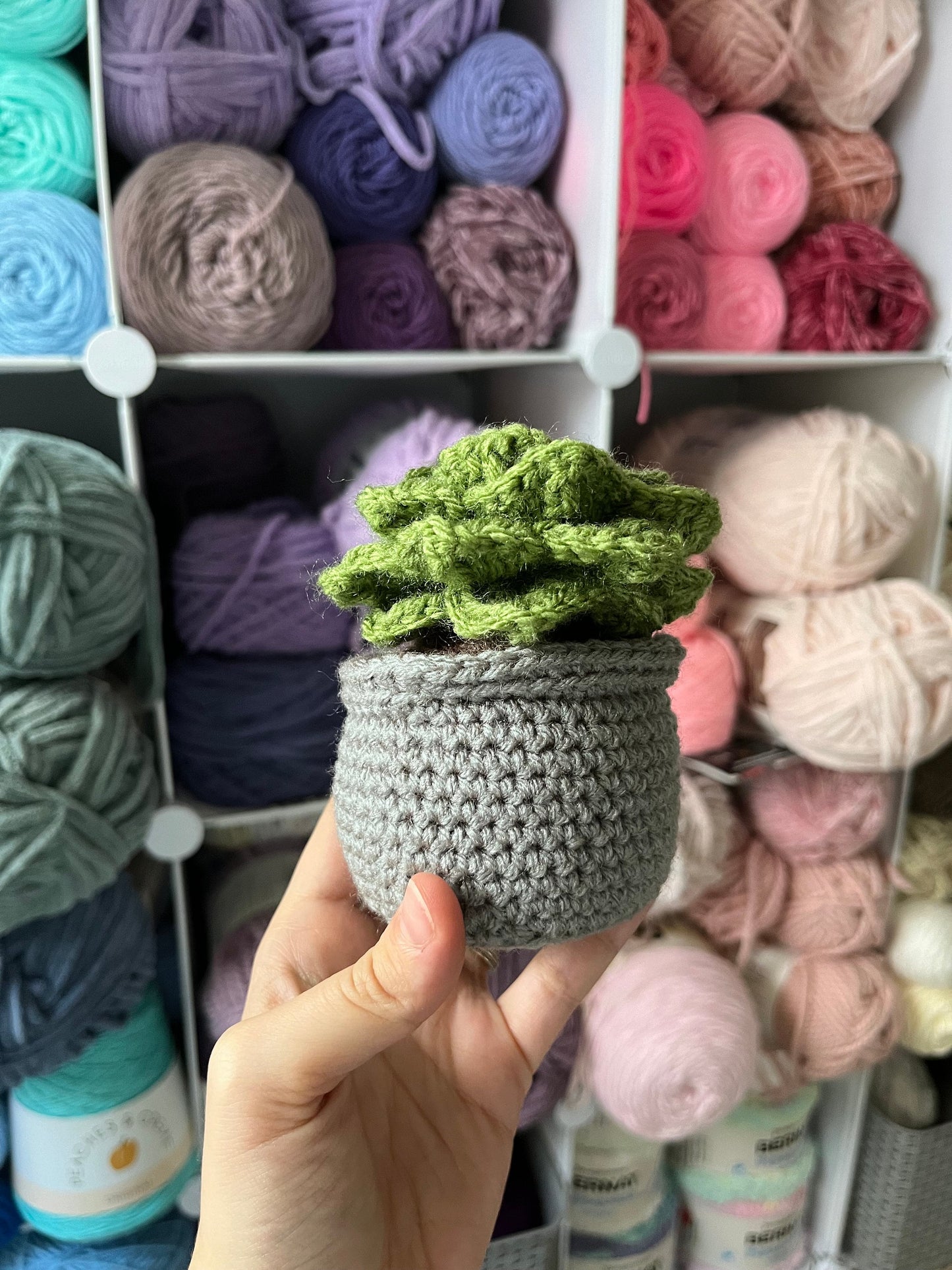 4.5” Crochet Succulent Plant in Gray Pot, Gray Potted Succulent Plant Plushie, Succulent Desktop Plant, Plant Lover Gift