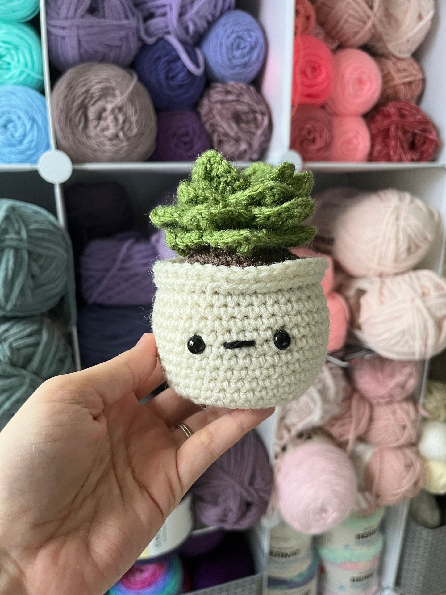 4.5” Crochet Succulent Plant in Ecru Pot, Ecru Potted Succulent Plant Plushie, Succulent Desktop Plant, Plant Lover Gift