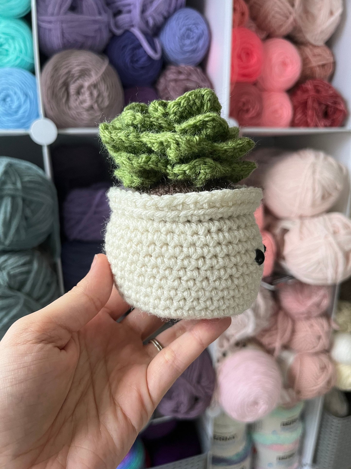 4.5” Crochet Succulent Plant in Ecru Pot, Ecru Potted Succulent Plant Plushie, Succulent Desktop Plant, Plant Lover Gift