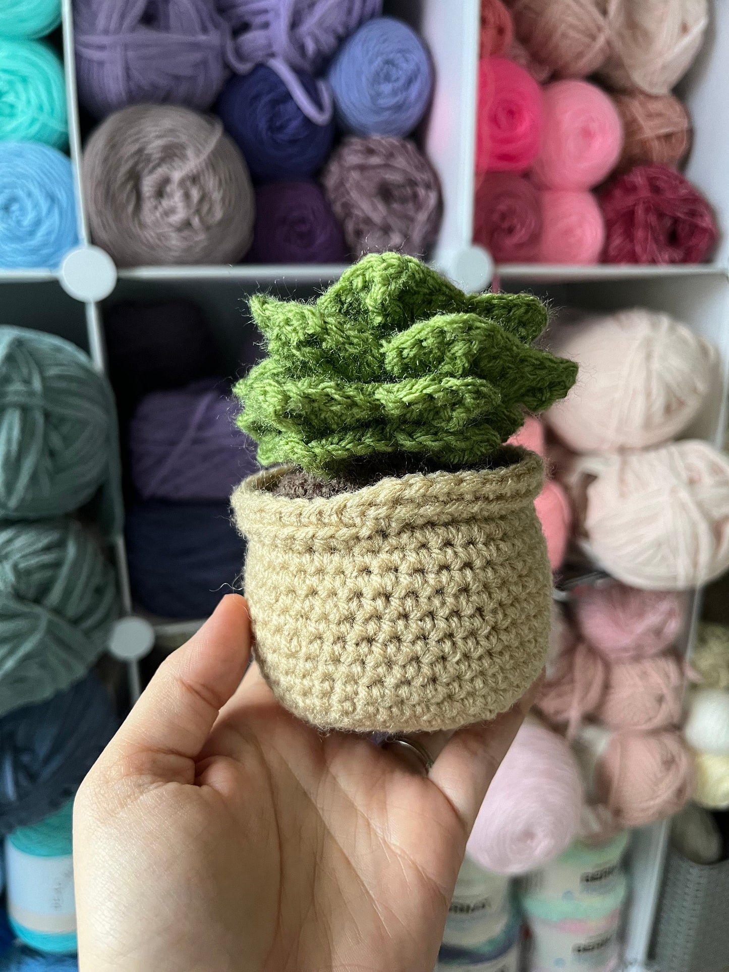 4.5” Crochet Succulent Plant in Tan Pot, Tan Potted Succulent Plant Plushie, Succulent Desktop Plant, Plant Lover Gift