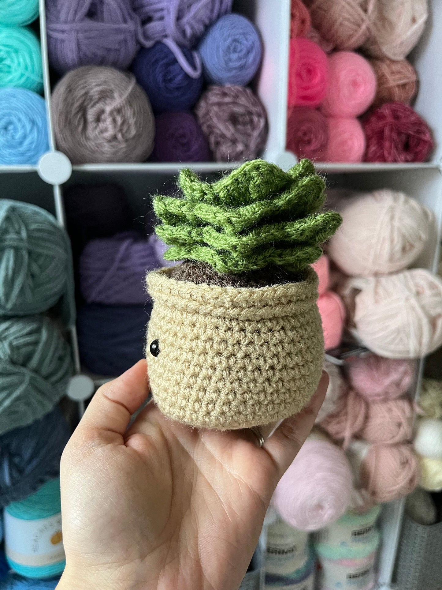 4.5” Crochet Succulent Plant in Tan Pot, Tan Potted Succulent Plant Plushie, Succulent Desktop Plant, Plant Lover Gift